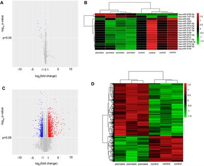 Downregulation of miRNA miR-1305 and upregulation of miRNA miR-6785-5p may be associated with psoriasis